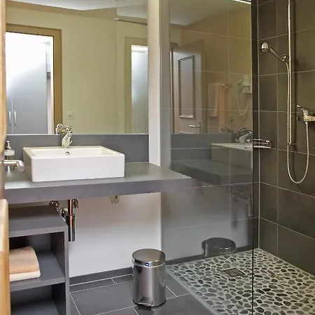 Steinbock Hotel Brienz (Bern)