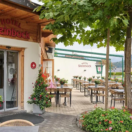 Steinbock 3*